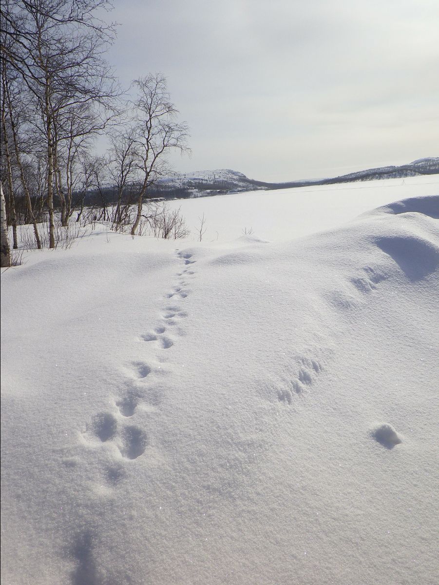 Ice Fishing57